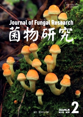 菌物研究期刊封面