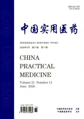 中国实用医药期刊封面
