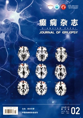 癫痫杂志期刊封面