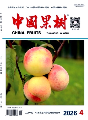 中国果树期刊封面