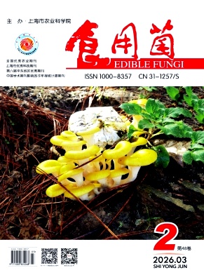 食用菌期刊封面