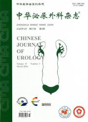中华泌尿外科杂志期刊封面