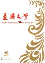 边疆文学期刊封面
