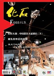 化石期刊封面
