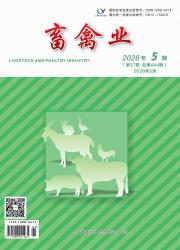 畜禽业期刊封面