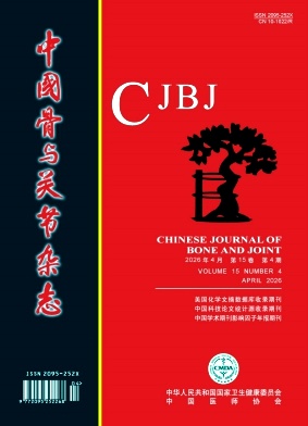 中国骨与关节杂志期刊封面