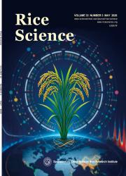 水稻科学（英文版）期刊封面
