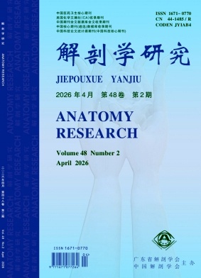 解剖学研究期刊封面