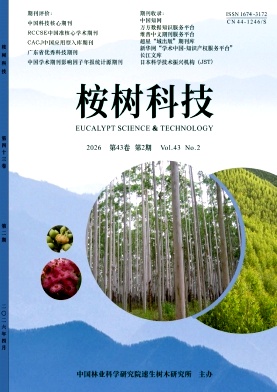 桉树科技期刊封面