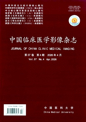 中国临床医学影像杂志期刊封面