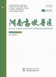 湖南畜牧兽医期刊封面