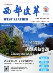 西部皮革期刊封面