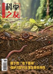 科学之友期刊封面