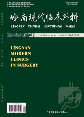 岭南现代临床外科期刊封面