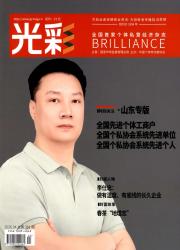光彩期刊封面