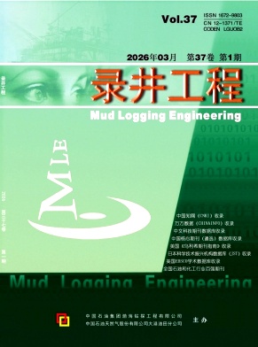 录井工程期刊封面