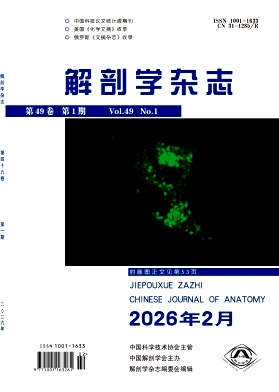 解剖学杂志期刊封面
