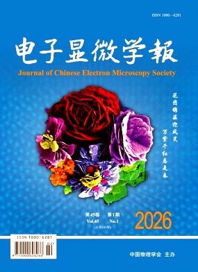 电子显微学报期刊封面