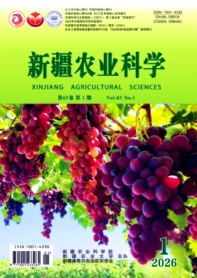 新疆农业科学期刊封面