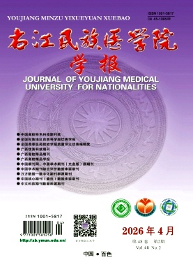 右江民族医学院学报期刊封面