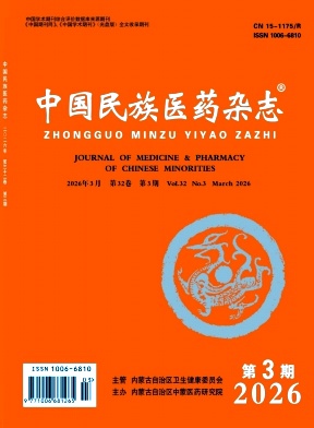中国民族医药杂志期刊封面