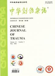 中华创伤杂志期刊封面