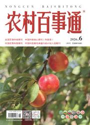 农村百事通期刊封面