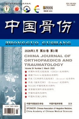 中国骨伤期刊封面