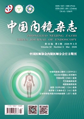 中国内镜杂志期刊封面