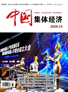 中国集体经济期刊封面