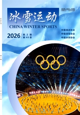 冰雪运动期刊封面