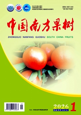 中国南方果树期刊封面