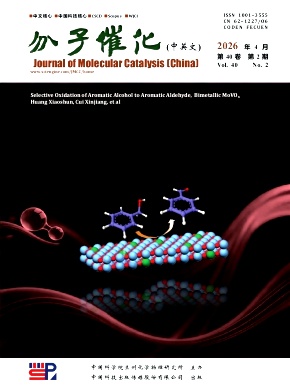 分子催化期刊封面