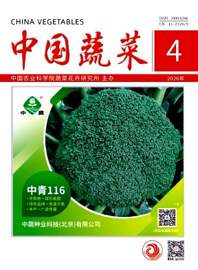 中国蔬菜期刊封面