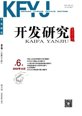 开发研究期刊封面