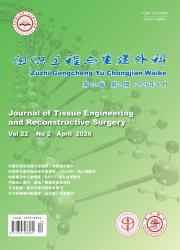 组织工程与重建外科杂志期刊封面
