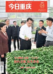 今日重庆期刊封面