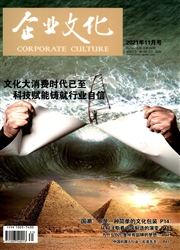 企业文化期刊封面