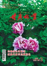 甘肃林业期刊封面