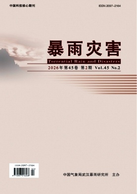 暴雨灾害期刊封面
