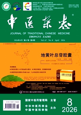 中医杂志期刊封面