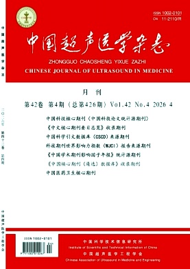 中国超声医学杂志期刊封面