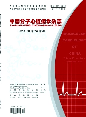 中国分子心脏病学杂志期刊封面