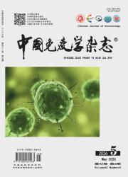 中国免疫学杂志期刊封面