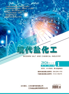 现代盐化工期刊封面
