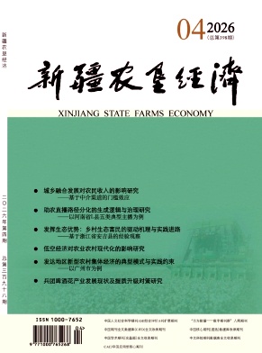 新疆农垦经济期刊封面
