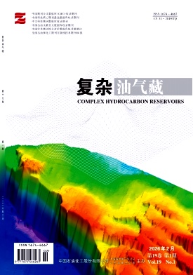 复杂油气藏期刊封面