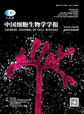 中国细胞生物学学报期刊封面