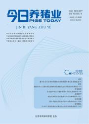 今日养猪业期刊封面