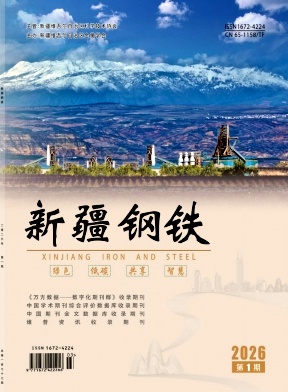 新疆钢铁期刊封面